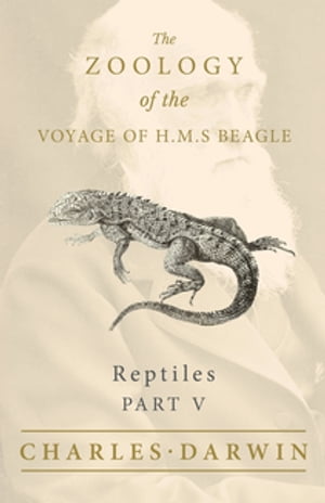 Reptiles - Part V - The Zoology of the Voyage of H.M.S Beagle Under the Command of Captain Fitzroy - During the Years 1832 to 1836Żҽҡ[ Charles Darwin ]