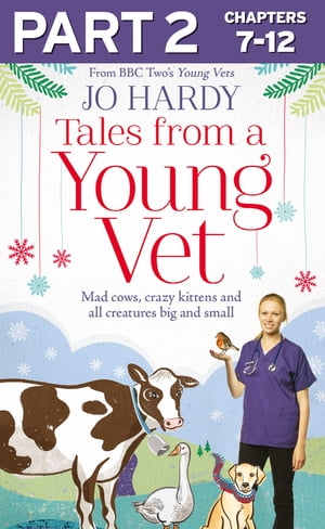 Tales from a Young Vet: Part 2 of 3: Mad cows, crazy kittens, and all creatures big and small