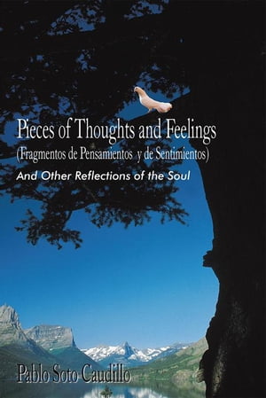 Pieces of Thoughts and Feelings (Fragmentos De Pensamientos Y De Sentimientos) And Other Reflections of the Soul