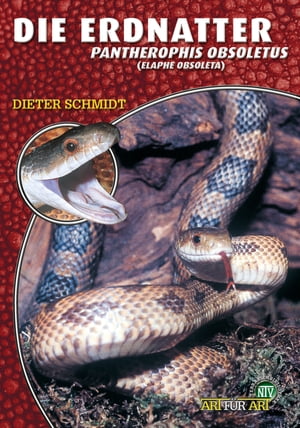 Die Erdnatter Pantherophis obsoletus (Elaphe obsoleta)Żҽҡ[ Dieter Schmidt ]