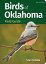 Birds of Oklahoma Field Guide