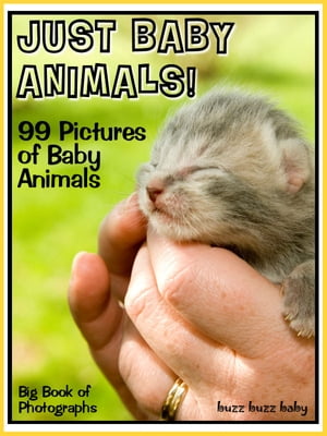 99 Pictures: Just Baby Animal Photos! Big Book of Baby Animal Photographs Vol. 1