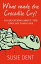 What Made The Crocodile Cry?:101 questions about the English language