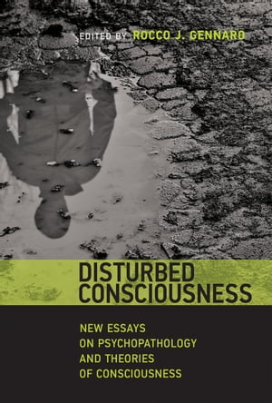 Disturbed Consciousness New Essays on Psychopathology and Theories of Consciousness