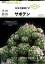 多肉植物　サボテン【電子書籍】[ 山城智洋 ]