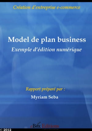 Model de plan business