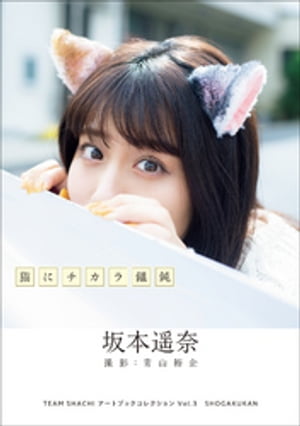 TEAM　SHACHI　アートブックコレクションVol.3　猫にチカラ饂飩　坂本遥奈【電子書籍】