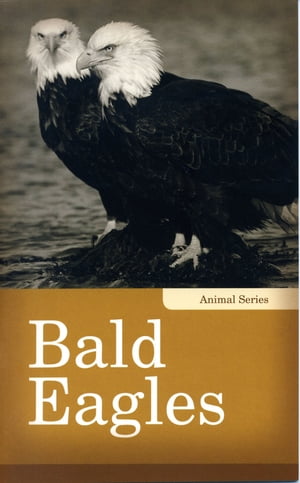 Bald Eagles