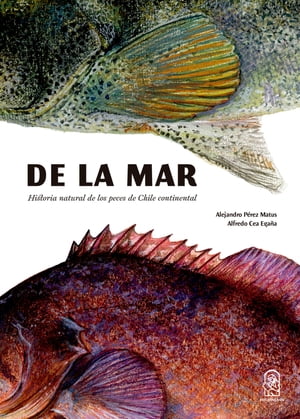 De la mar