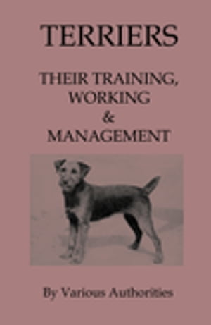Terriers - Their Training, Work & Management