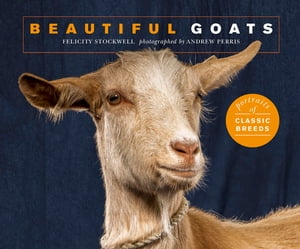 Beautiful Goats