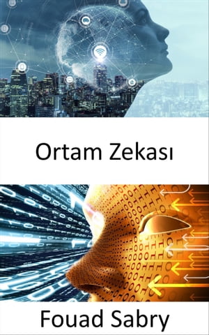 Ortam Zekası