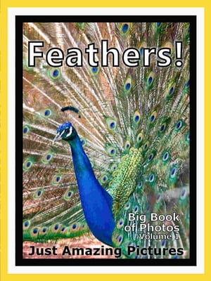 Just Feather Photos! Big Book of Photographs & Pictures of Feathers, Vol. 1