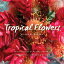 Tropical Flowers