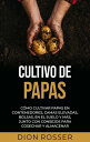 Cultivo de papas: C?mo cultivar papas en contene