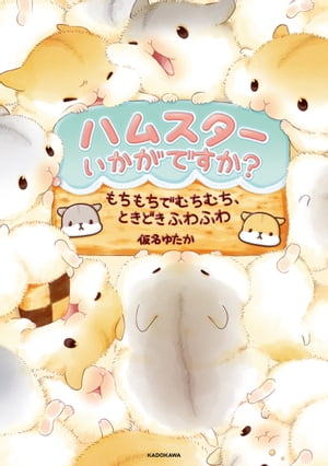 ハムスターいかがですか? もちもちでむちむち、ときどきふわふわ