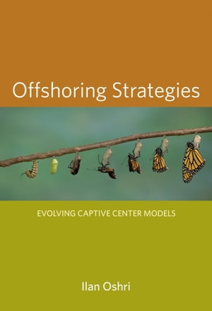 Offshoring Strategies