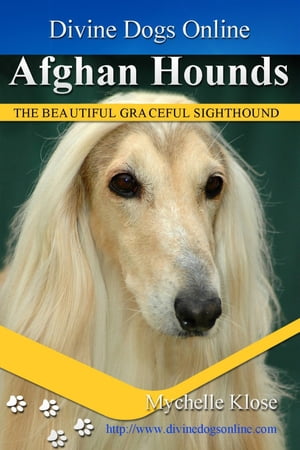 Afghan HoundŻҽҡ[ Mychelle Klose ]