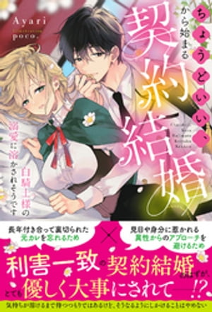 ちょうどいい、から始まる契約結婚〜白騎士様の溺愛に溶かされそうです〜【イラスト付き】【単行本書き下ろしSS付き】