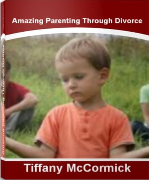 Amazing Parenting Through Divorce The Essential 