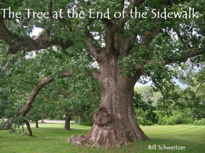 The Tree at the End of the Sidewalk