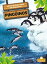 penguinsの画像