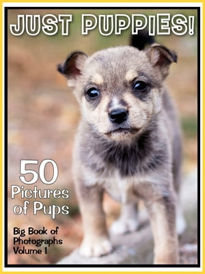 50 Pictures: Just Puppies! Big Book of Puppy Dog Photographs, Vol. 1