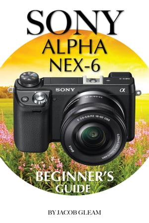 Sony Alpha Nex-6: Beginner’s Guide