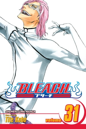 Bleach, Vol. 31