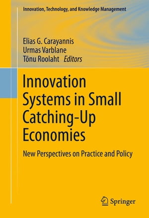 Innovation Systems in Small Catching-Up Economies New Perspectives on Practice and Policy【電子書籍】