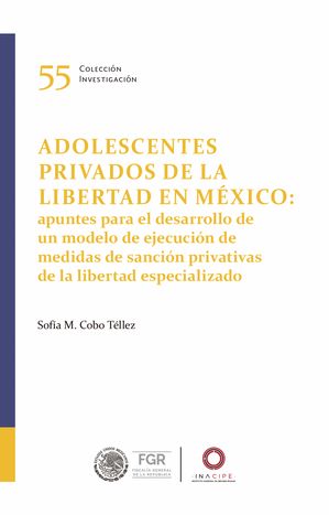 Adolescentes privados de la libertad en México: