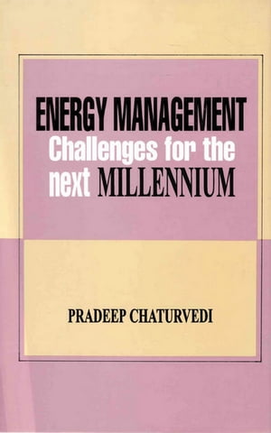 Energy Management Challenges For the Next Millennium