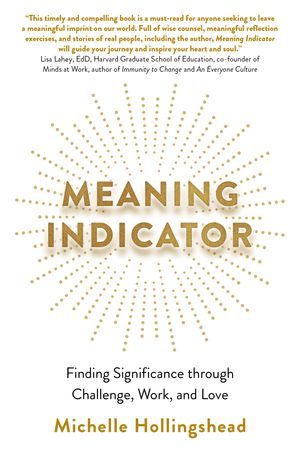 Meaning Indicator