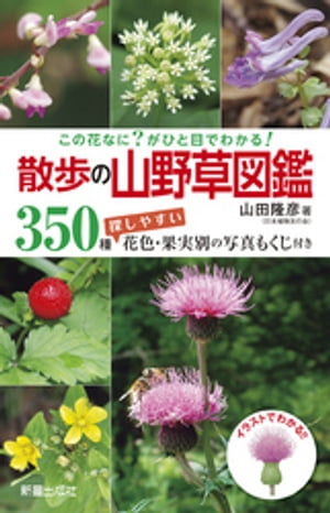 この花なに？がひと目でわかる！ 散歩の山野草図鑑【電子書籍】[ 山田隆彦 ]