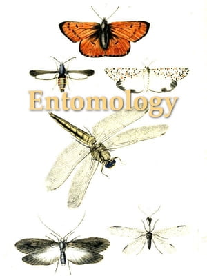 An Introduction to Entomology: Or Elements of the Natural History of Insects, Fifth Edition, Volume 3 (of 4)