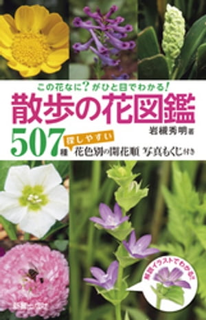 この花なに？がひと目でわかる！ 散歩の花図鑑