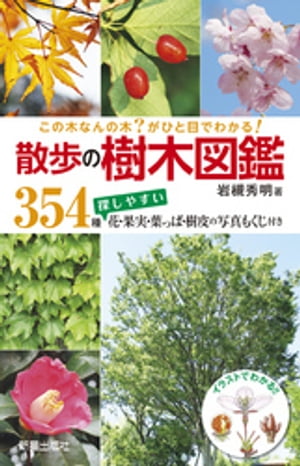 この木なんの木？がひと目でわかる！ 散歩の樹木図鑑【電子書籍