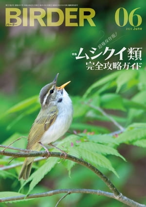 BIRDER2023年6月号