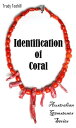 Identification of Coral Australian Gemstones Ser