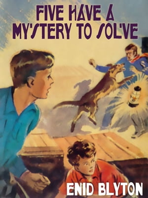 Five Have a Mystery to Solve Famous Five #20【