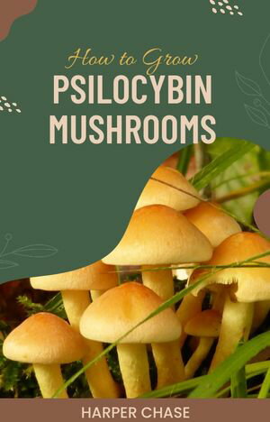 How to Grow Psilocybin Mushrooms