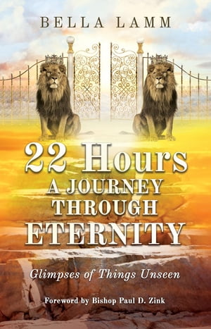 22 Hours: A Journey Through Eternity