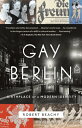 Gay Berlin Birthplace of a Modern Identity