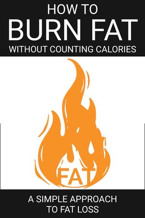 ŷKoboŻҽҥȥ㤨How To Burn Fat Without Counting Calories A Simple Approach to Fat LossŻҽҡ[ Dorian Carter ]פβǤʤ300ߤˤʤޤ