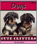 Dogs - Volume 1 A Photo Collection of Cute &Cuddly DogsŻҽҡ[ Jen Weston ]