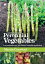 #2: How to Grow Perennial Vegetablesβ