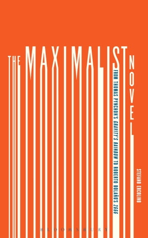 The Maximalist Novel