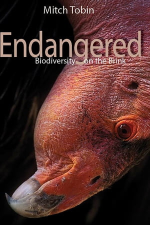 Endangered