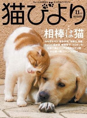 猫びより2021年11月号　Vol.120