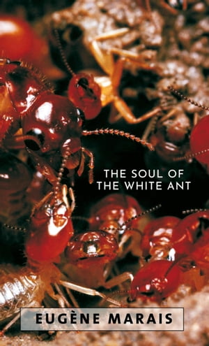 The Soul of the White Ant